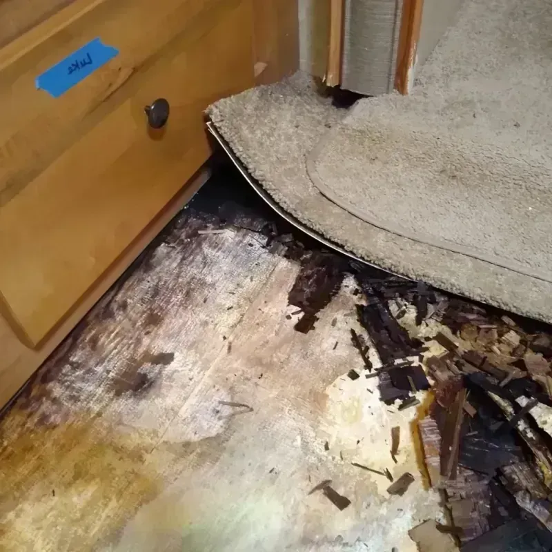 Wood Floor Water Damage in Hancock County, OH